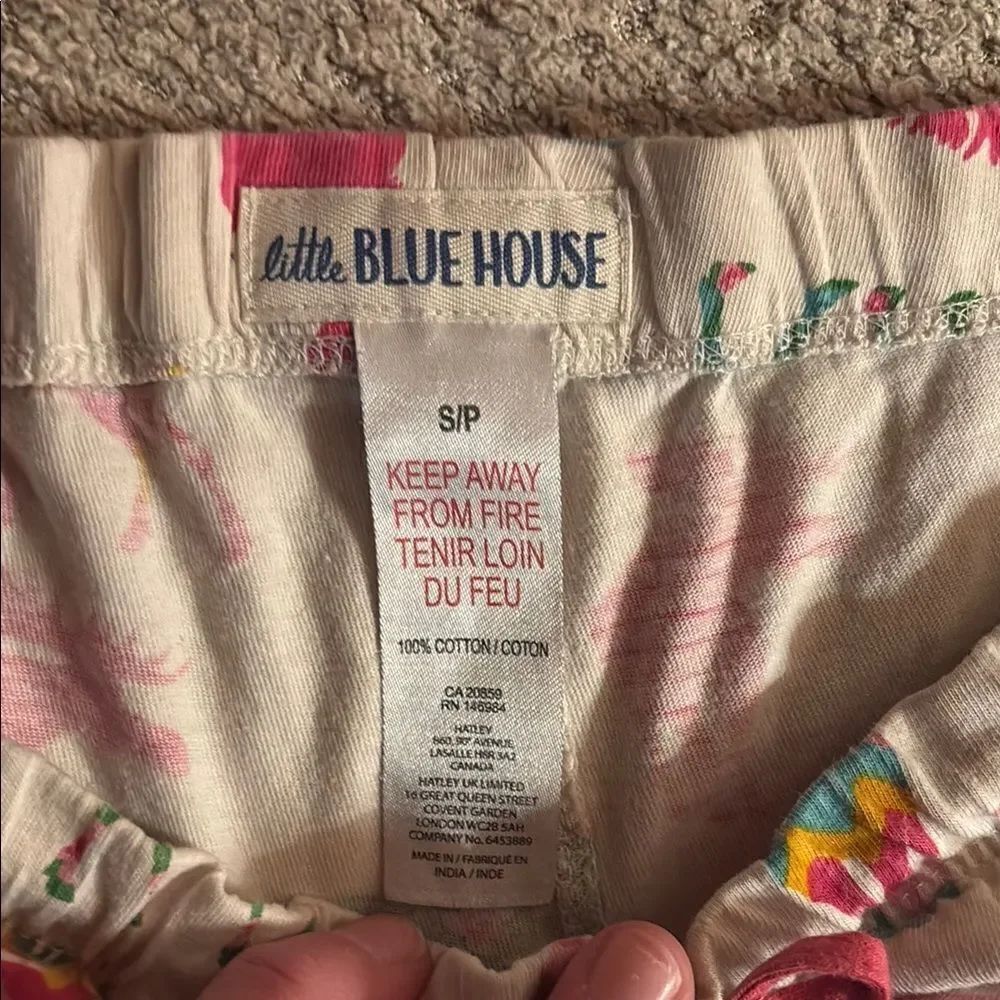 Moose 🫎 Colorful Print Shorts - Picture 2 of 7